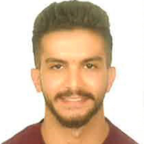 Amir Saleh