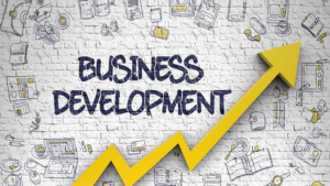Mini Diploma in Business Development